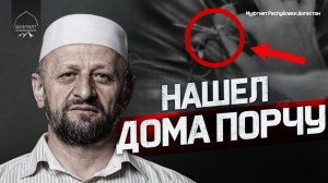 НАШЕЛ ДОМА ПОРЧУ. КАК БЫТЬ С ЭТИМ