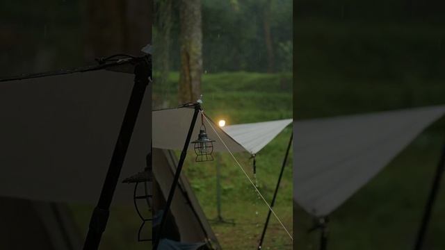👉 Дождь по палатке в лесу • 4 ЧАСА | Звуки дождя для сна и глубокого релакса