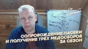 Сопровождение пасеки и получение трёх мёдосборов за сезон