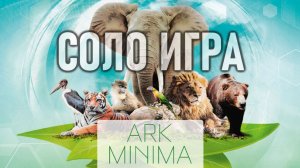 Настольная игра Ark Minima. Соло игра.