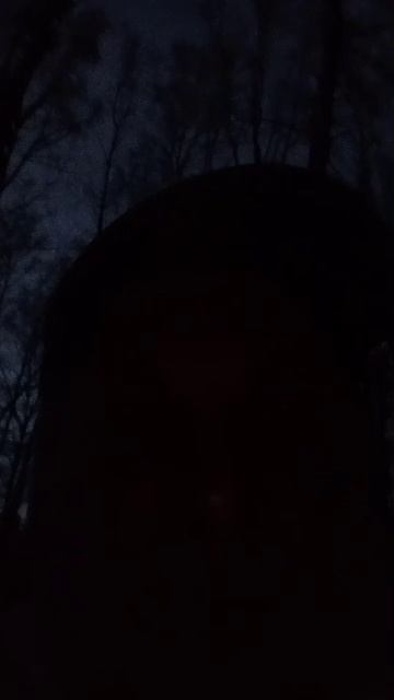 #природа#животные