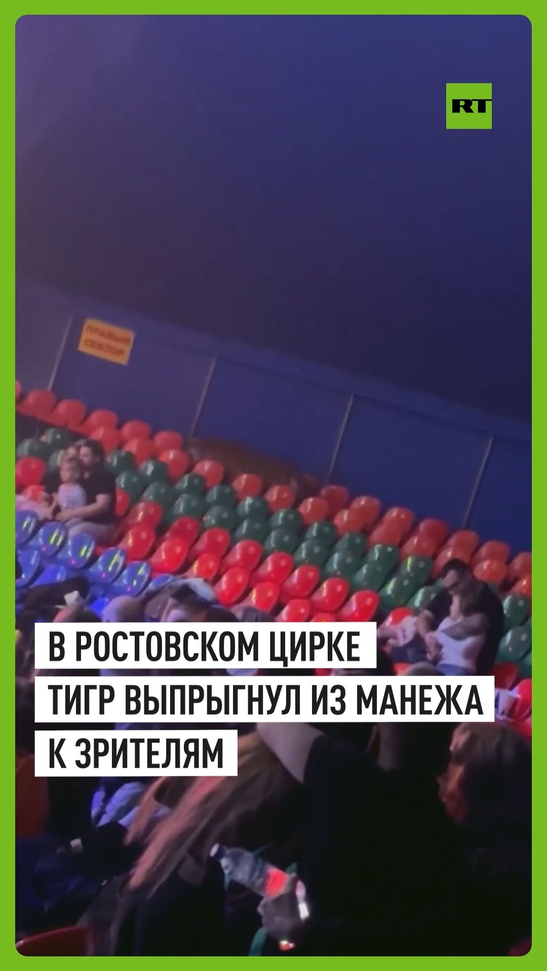 Тигр выпрыгнул в зрительный зал во время циркового представления в Ростове-на-Дону