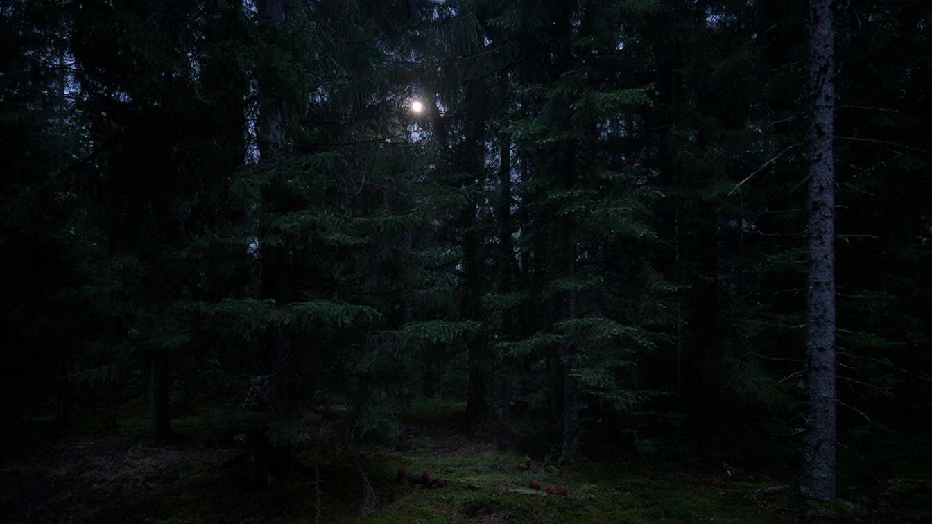 Гарик забрал у меня фонарь, теперь мы шли без подсветки. Боже мой, но когда же конец...