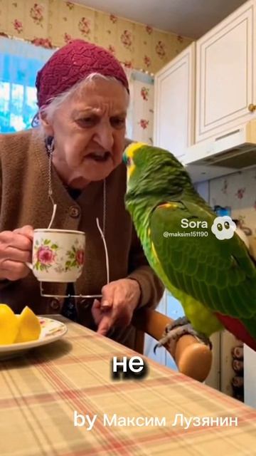Попугай и бабка #sora #ии #попугай #бабка #юмор #смех #funny #угар #прикол #cute #birds #parrot