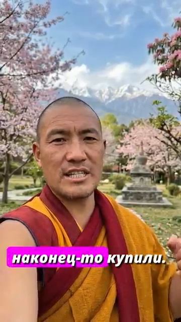 Тебя разрушает то, чего у тебя нет #психология #саморазвитие #монах #mindfulness