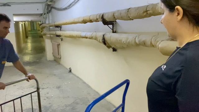 Иван, газ, газ!💨