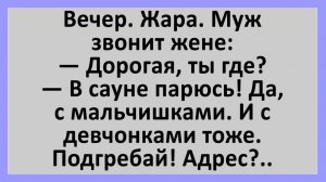 Анекдоты | Дорогая, ты где? В сауне парюсь... | Анекдоты смешные | Юмор