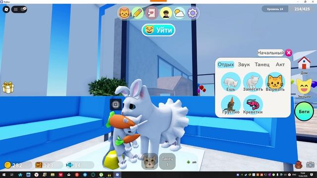 играем в игру с котятами