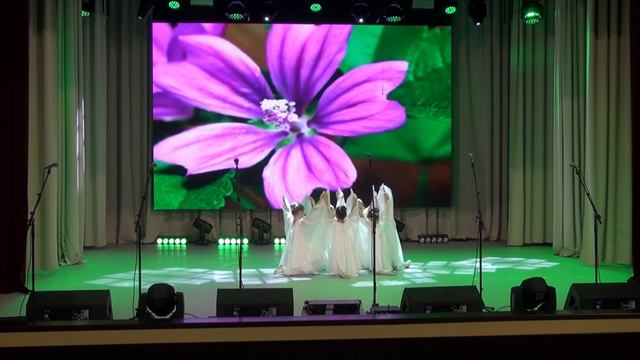 Танцевальный коллектив Звездочки