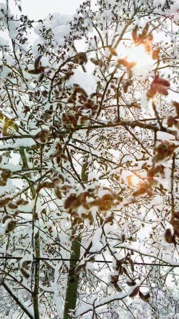 Была уже весна