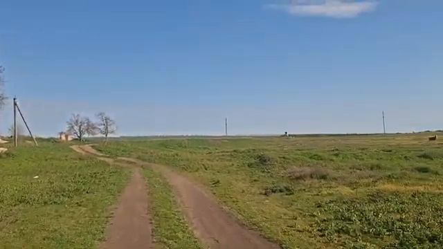 ОфициальноЯ  - Ушла на 5 минут, а пришла через 4 часа