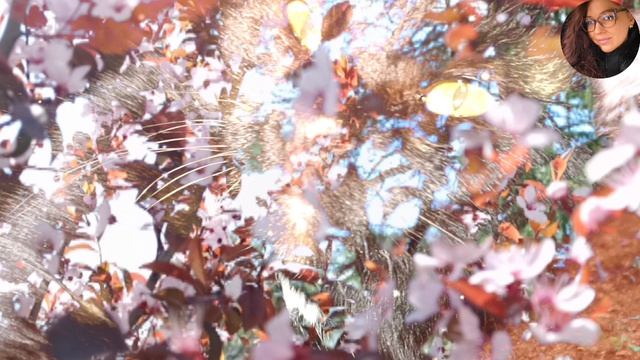 Звуки мурчания моего Кота Чернявого #2/ АСМР Слушать звуки для сна, расслабления и медитации.