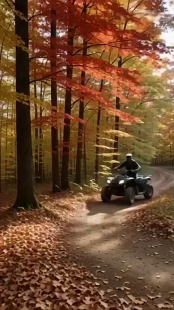 🚄🏍️  ДВА ЛИЦА СКОРОСТИ: Как поезда и квадроциклы покоряют разные миры 🧠⚙️