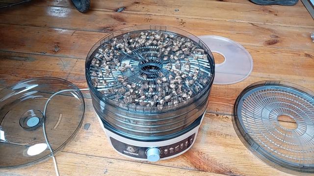 Обзор сушилки для овощей и фруктов Мастерица на 5 поддонов.