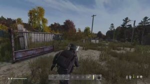 DayZ - Стрим 1