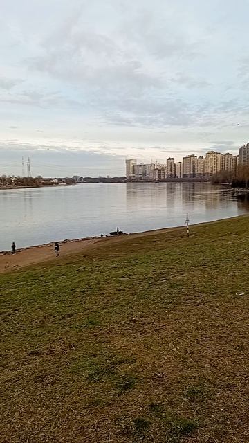 У Невы летают чайки, 14 апреля 2026.