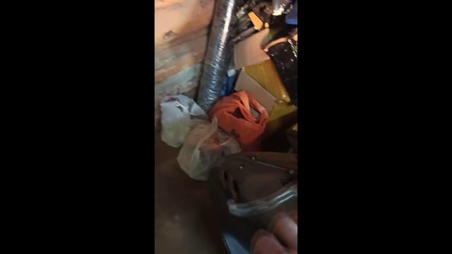 Богатые тоже плачут или покупка скутера