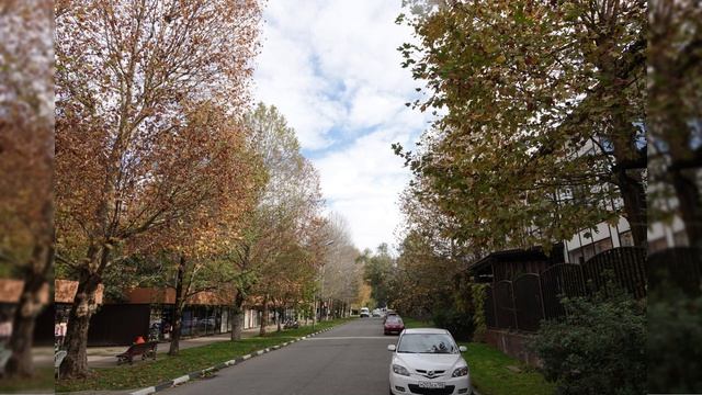 🍂ЯРКИЕ КРАСКИ ПРИРОДЫ. АДЛЕР 2025. ФОТОДНЕВНИК ЧАСТЬ 17. ФОТО СЛАЙД-ШОУ. 24 НОЯБРЯ 2025 ГОДА