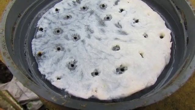 белково молочная подкормка для лучшего развития пчел , проблема применения , 19.04.2025