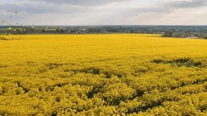 БАД Калиниград (ВВ_37)