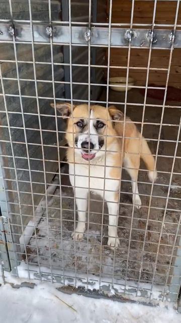 Не оставляй меня... 💔  Кричат глаза этой малышки