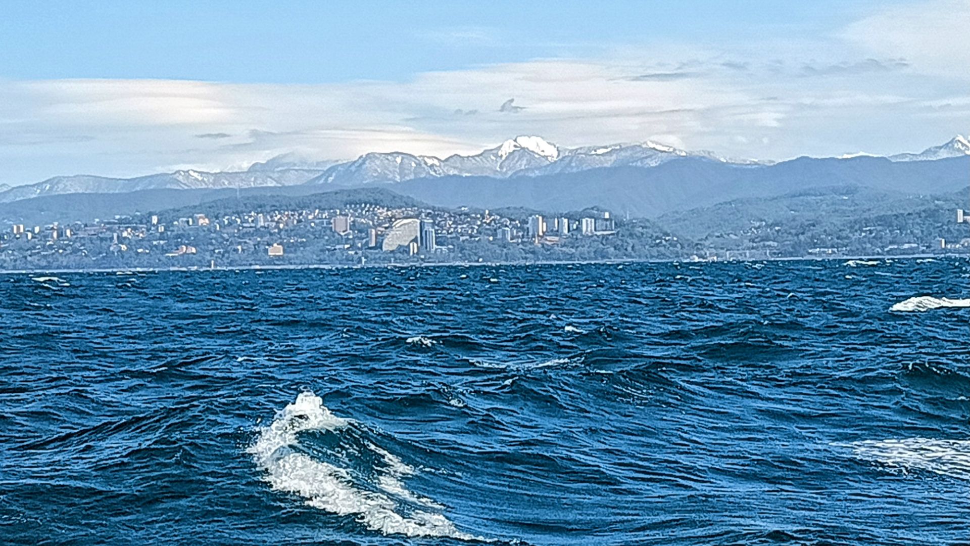 Дельфины Черного моря!