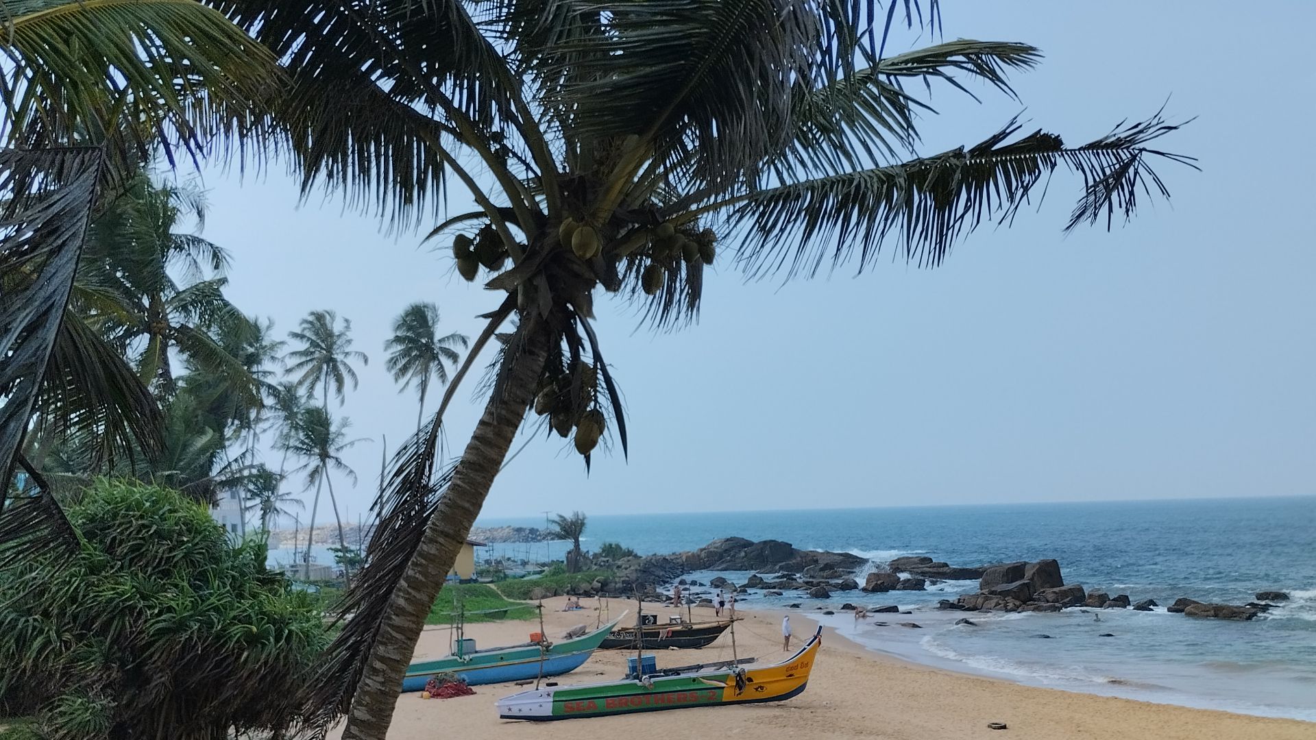 Дайвинг на Шри-Ланке (Хиккадува)