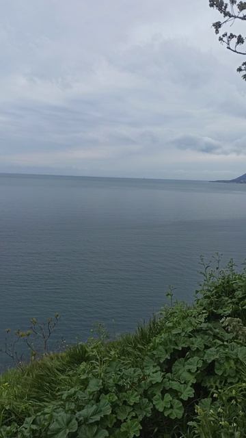 Кабардинка 2026, апрель.