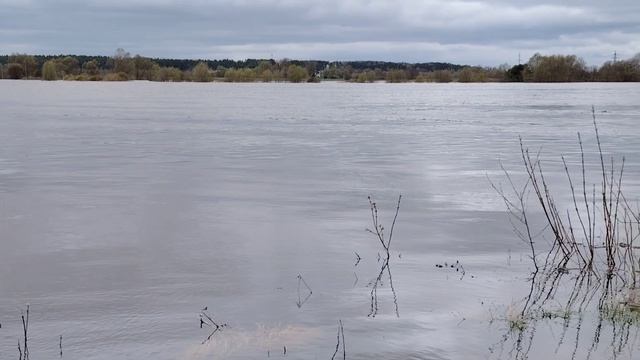 Доброе утро, моя Ока ( 19 апреля)