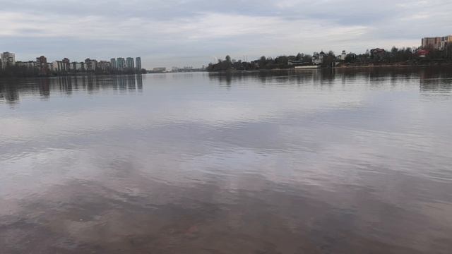 Petal_20260419_120312.mp4