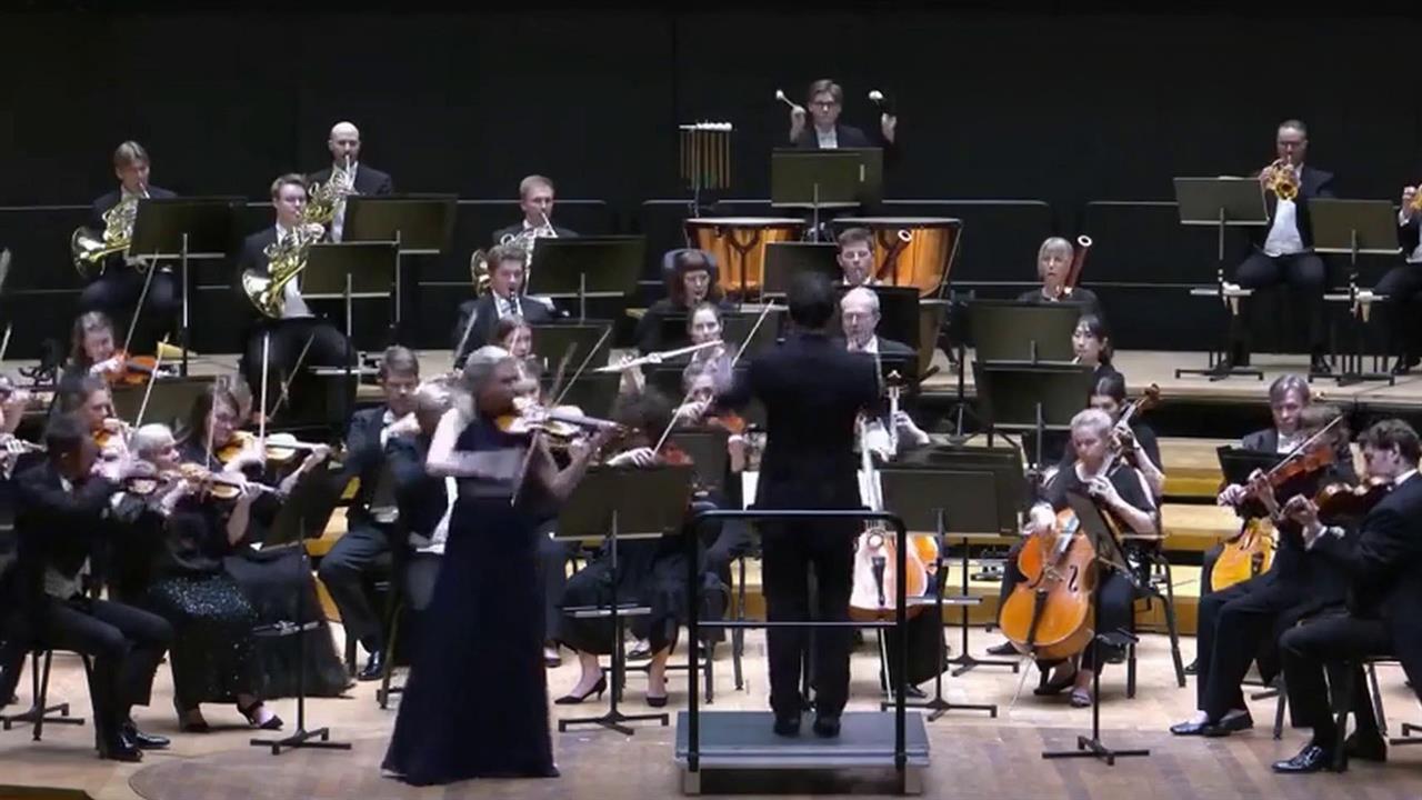 В Финляндии во время концерта дирижер выбил из рук скрипачки инструмент за миллион евро