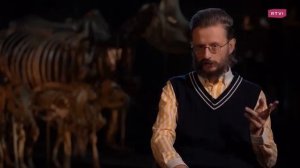 С кого началось заселение Америки. Дробышевский