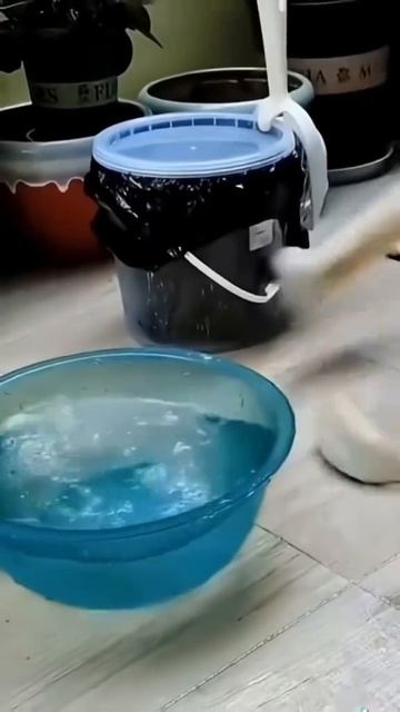 СМЕШНЫЕ КОТЫ 😺 2026 ЛУЧШИЕ ПРИКОЛЫ С КОТАМИ ,КОШКАМИ ,ЖИВОТНЫЕ,СМЕШНЫЕ ВИДЕО