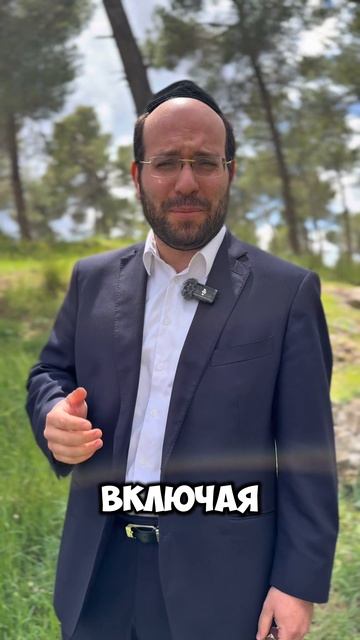 Ничего лишнего