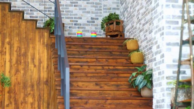 PushBaby Best Treasure Box Vol.76 10min Compilation  PushBaby Official