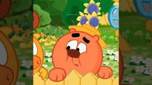 алюмiнiвая мiска