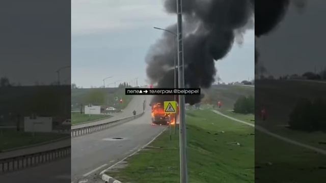 Белгородская обл за вчерашний день