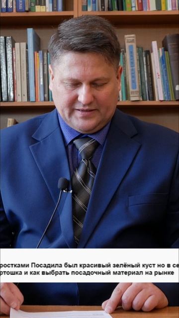 Как выбрать картофель для посадки