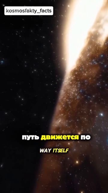 Слабонервным не смотреть.