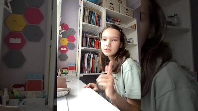 Влог пенала в школу