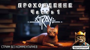 ПРОХОДИМ Stray №1 | Будни рабочего™ #игры #game #stray #steam