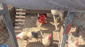 ДАРИМ ПОДАРКИ ДРУЗЬЯМ ПОДПИСЧИКАМ!!! 19.04.2026 ГОД.