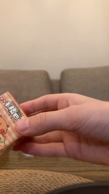 Обзор  капибар в коробочках