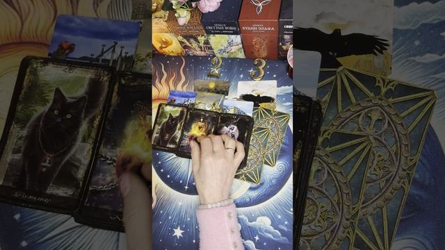 Заканчивается трансформация.