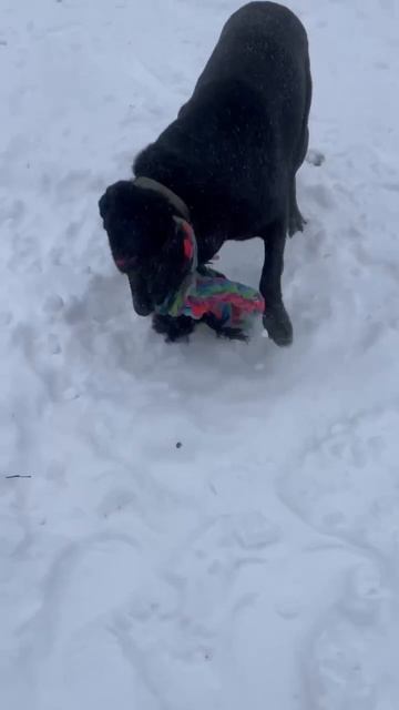 Посмотрите какой же прекрасный парень пропадает