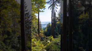 Наедине с природой