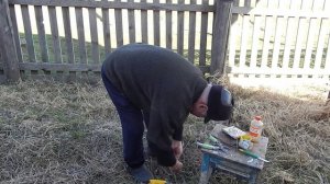 Не понравившиеся  прививки к подвоям яблонь привои