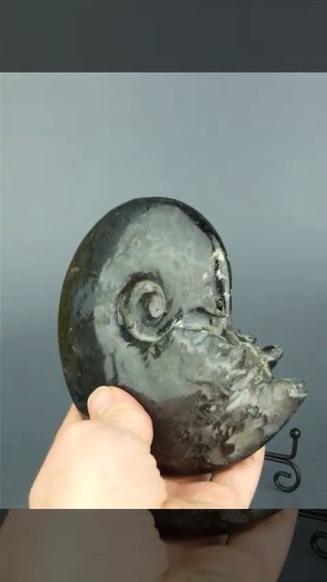 Черный аммонит 1289