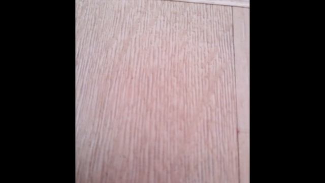 Семья лол 1 сезон 8 серия 1 часть