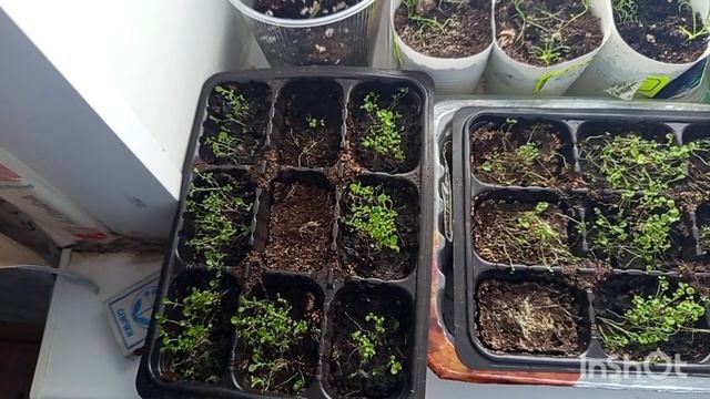 //199// Утром была весна ,а к вечеру пришла зима.